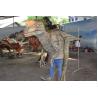 Buy cheap Attractive Realistic Dino Costume High Durability For Party Entertainment from wholesalers