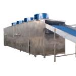 Continuous Industrial Conveyor Mesh Belt Dryer For Vegetable Seaweed Herb