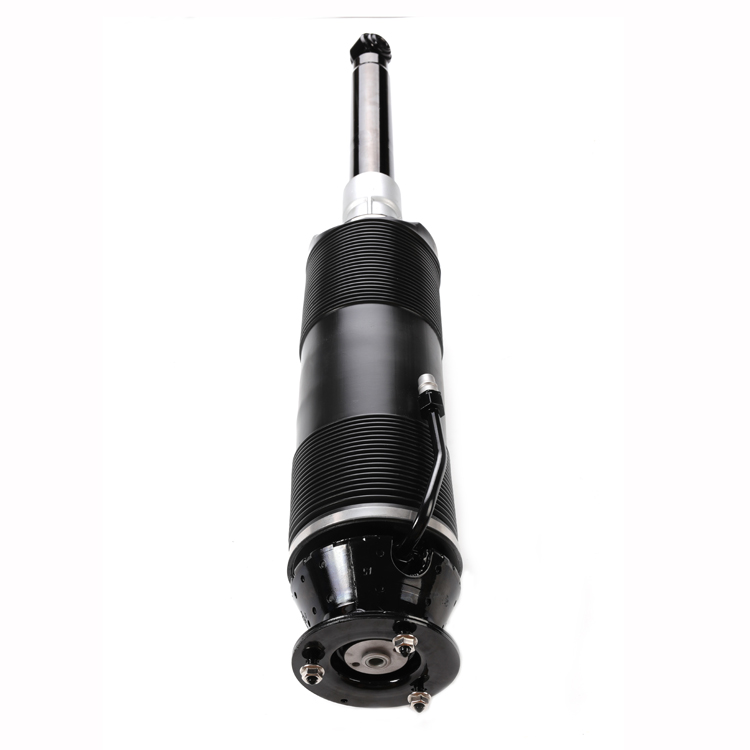 Air Strut Suspension With ABC For Mecedes S Class 2203201813
