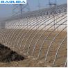 Buy cheap 150micron 200 micro PE Film Agricultural Greenhouse For Vegetable Fruit Growing from wholesalers
