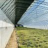 Buy cheap Full Payment Single Layer Hydroponics Flower Sunlight Greenhouse for Your Initial Payment from wholesalers