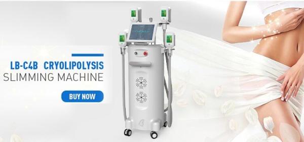 Buy cheap beauty salon new slimming technology fat-freezing cryolipolysis slimming machine new slimming technology machine from wholesalers