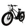 Buy cheap 48V 17Ah 7 Speed Electric Fat Tire Bike 750W 26 Inch Electric Mountain Bike For Adults from wholesalers