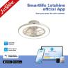 Buy cheap 6 Speeds Adjustable Ceiling Fan Hidden Blades Remote Control LED Light Source 1stshine from wholesalers