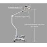 Buy cheap Medical Hospital Surgery Instrument Multi-purpose Prodessional Operation Used Examination Lamp ME-A250L from wholesalers
