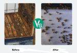 Doctor Bee ( 10 Strips ) Bee Medicine Against Varroa Bee Mites Fluvalinate Strip