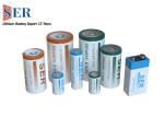 3.6Volt Non Rechargeable Li SOCL2 Battery Lithium Thionyl Chloride Cell For