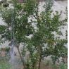 Buy cheap Nylon Bird Proof Net White Bird Proof Garden Netting Lightweight from wholesalers