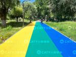 Factory Price Anti-Aging Athletic Running Track Indoor and Outdoor Synthetic