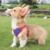 Buy cheap Nylon Oxford Lightweight 122G Comfort Dog Harness from wholesalers