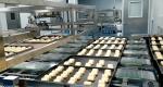 ISO9000 25cm Insulation Baking Tunnel Pastry Production Line
