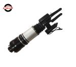 OEM 2113201938 2113209513 Air Suspension Shock Absorber