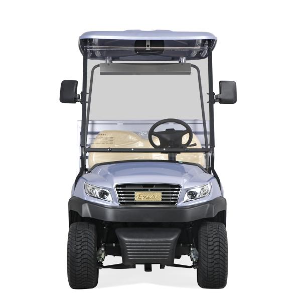 New Design Chinese Manufacturer Electric Utility Buggy Car Housekeeping Car with