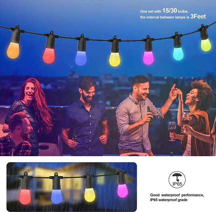 2700K Christmas RGB String Light Voice Control Stable Practical