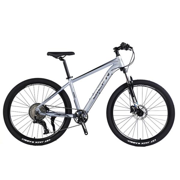 Buy cheap Front and Rear Wheel Disc Brake Mountain Bike 26/27.5/29 inch with Hollow Chainwheel 13s from wholesalers