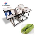 185KG 380V Commercial fruit and vegetable cutting machine carrot and eggplant