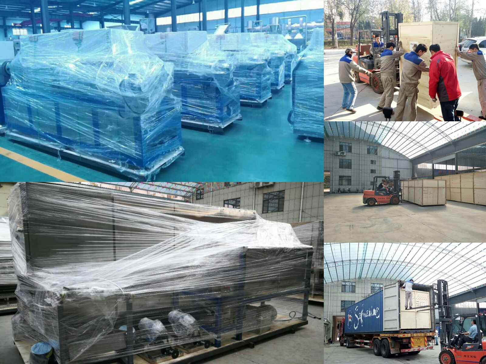 Delta Or Customized Pet Food Processing Machine for Dog Cat Used Animal Feed Maker Machine