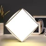 Modern front room ceiling lights for indoor home lighting fixtures (WH-MA-24）