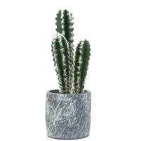 Buy cheap 18cm All Season Artificial Potted Floor Plants Mini Bonsai Succulent Countertop product