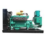 Biogas engine generator biogas power generator