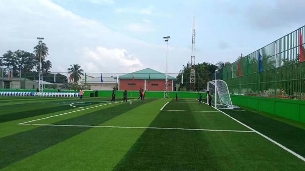 Buy cheap Artificial Grass Carpet Disease Resistant Quartz Sand Infill from wholesalers