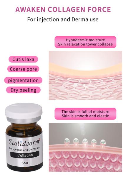 Buy cheap Stalidearm Facial Care Face Moisturizing Skin Firming Meso Serum Anti Wrinkles Collagen Dermal Filler 5ml from wholesalers