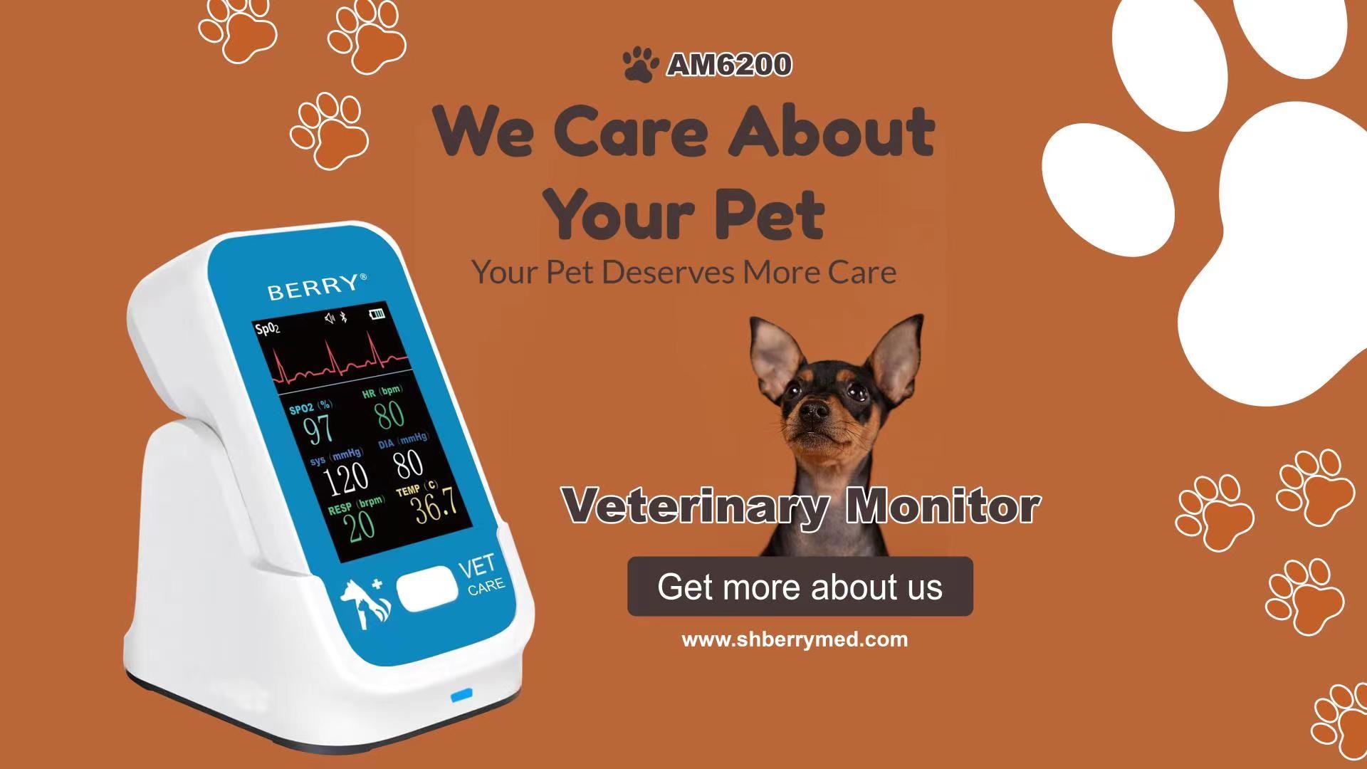 DC 12V Animal Monitoring System with -20°C~60°C Storage Temperature
