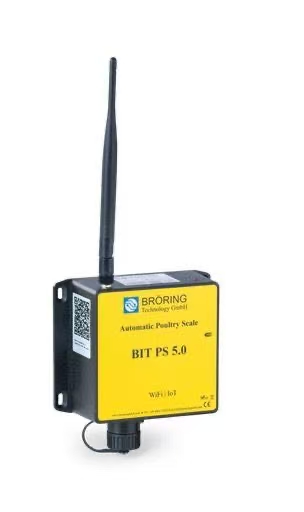 BIT Poultry Scales Used for Weight Testing of Young Chickens Laying Hens and Fattening Poultry IOT Poultry Scale