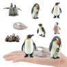 Buy cheap Penguin Life Cycle Figure Model Toy For Boys Girls Kids from wholesalers