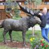 Buy cheap Cast Moose Custom Bronze Sculpture Metal Animal Handicrafts from wholesalers