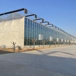 Sunlight Greenhouse 100% Blackout Automatic Light Deprivation Greenhouse in