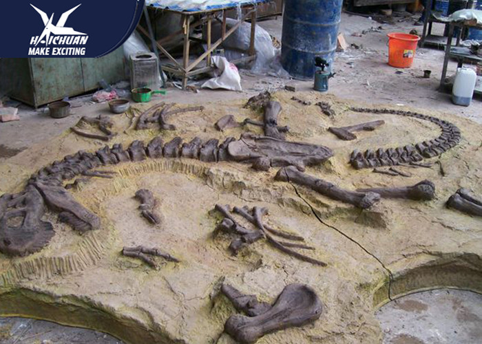 Big Indoor Decorative Fake Dinosaur Fossil Waterproof And Sunproof 1 Year Warranty