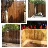 Buy cheap Black Natural Decorative Bamboo Fence 4Ft 6Ft 8Ft For Garden Privacy Home Garden from wholesalers