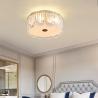 Buy cheap Modern Post-modern Ceiling Lamp Warm And Romantic Small Living Room Lamp mid century ceiling lamp(WH-CA-82) from wholesalers