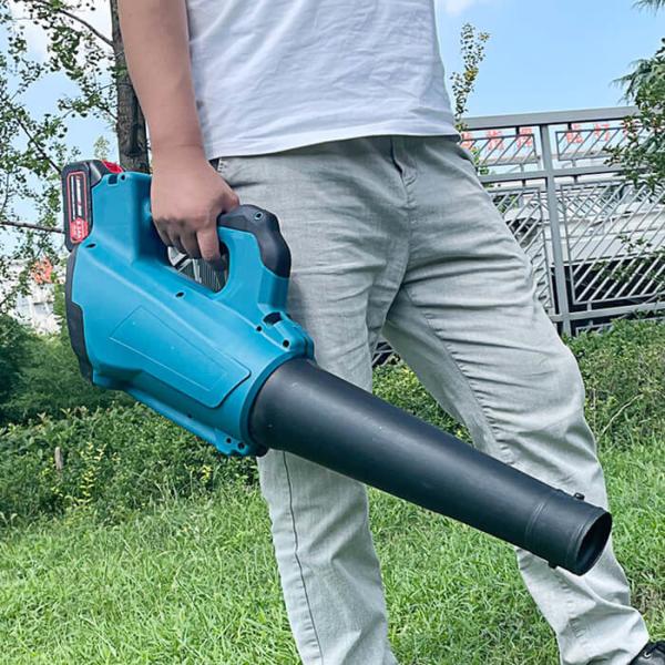 Buy cheap 1000W Combustion Leaf Blower High Pressure Electric Snow Blowing Soot Dust Remover from wholesalers