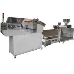 PP/PE/EVA/PVC Zipper Extruding Machine