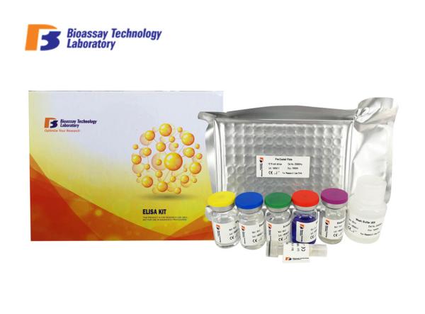 Buy cheap Good Specificity Rat Insulin Elisa Kit Standard Curve Range 0.5ng / Ml - 200 Ng / Ml from wholesalers