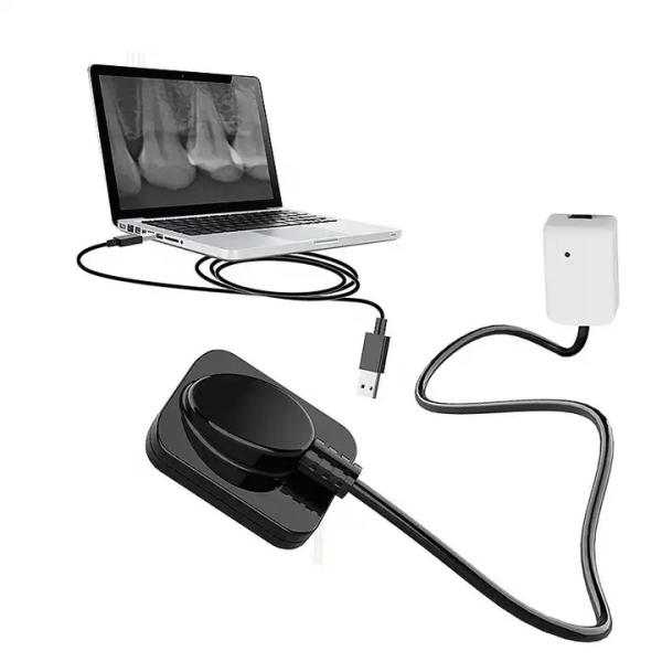 Buy cheap Dental X-Ray Digital Sensor For Dental Implant And Endodontic Treatment from wholesalers