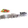Buy cheap Commercial Small Automatic Fruits Processing Machine Carrot Potato Cucumber Onion Cutting from wholesalers