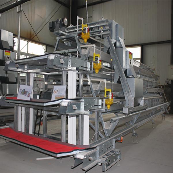 Buy cheap A Type Full Automatic Battery Chicken Cage Cold Galvanized For Farm from wholesalers