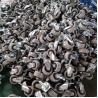 Buy cheap Small Trolley Wheels Soft PP Core PVC Casters 2" Threaded Stem Swivel Castors from wholesalers