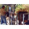 Buy cheap Small Aluminum Bucket Mobile Milking Machine For Milking Cows , Sheep from wholesalers