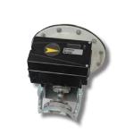Chinese Brand Control Valve With Flowserve Positioner PMV D30 Digital Pneumatic