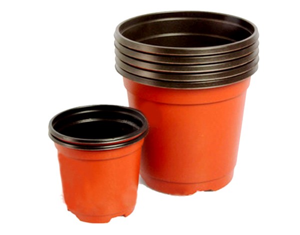 Double color plastic nursery pot