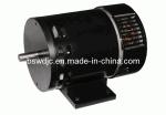 Pm DC Motor (24V 245W 1/3HP 1800RPM)
