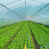 Buy cheap Galvanized Steel Frame Pe Film Greenhouse Single Span Greenhouse Tunnel 30 X 10 Meters from wholesalers