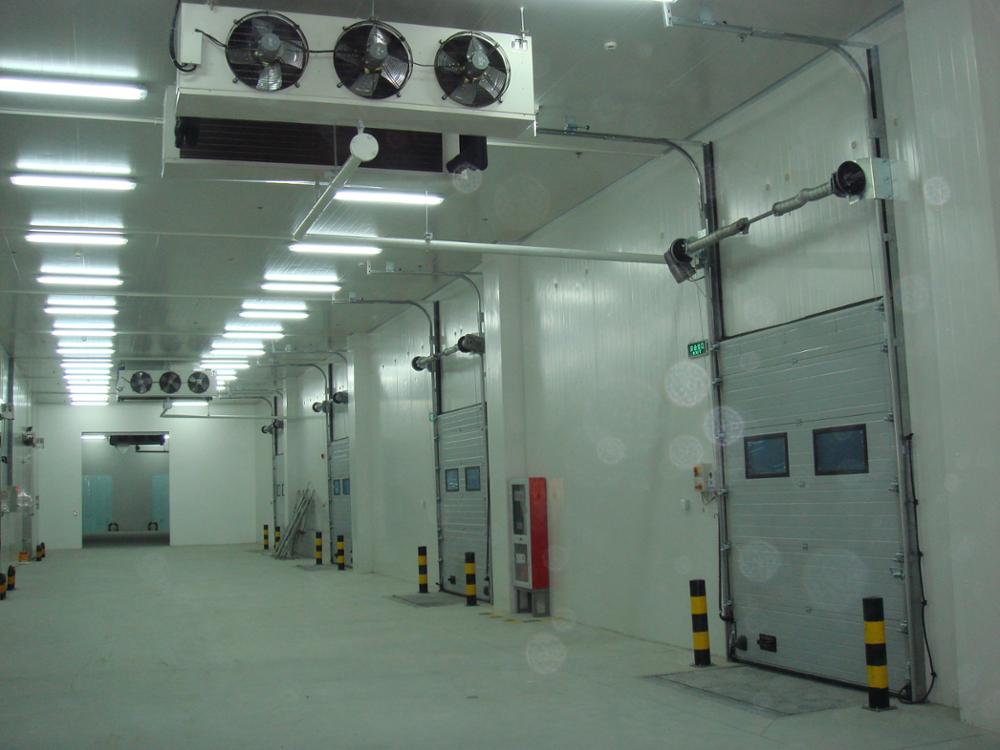 PU Foam Walk In Chiller Rooms , Freezer Units Cool Room With Bizter Multiple Compressor