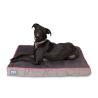 Buy cheap Warter Resistant Shredded Memory Foam Dog Bed Thick Orthopedic 4 Color Trims 4 Sizes from wholesalers