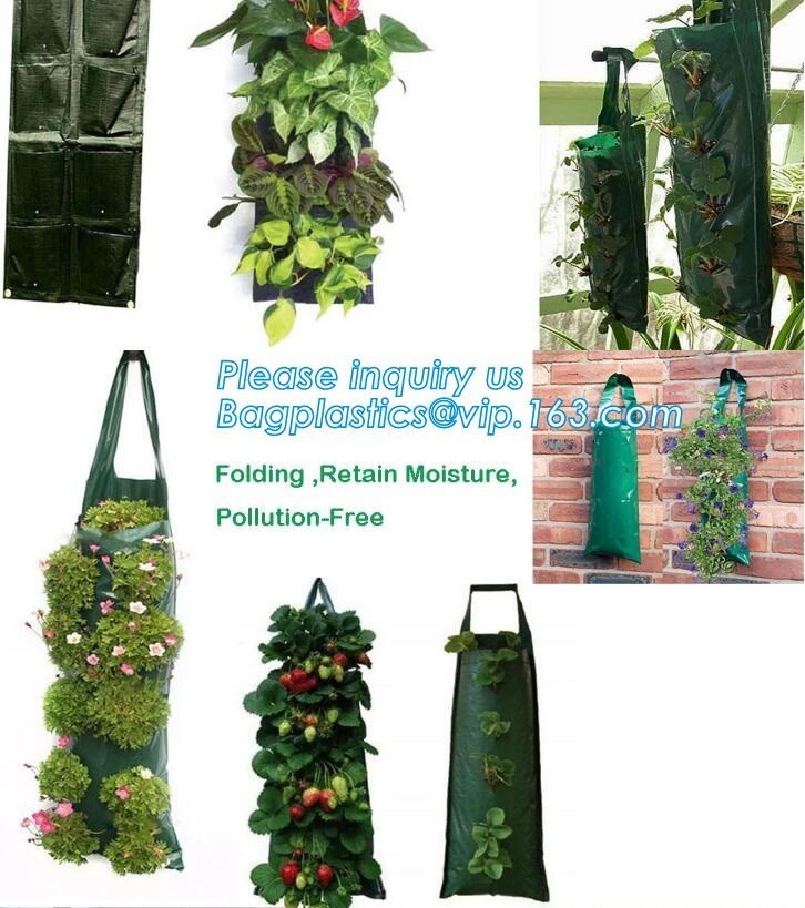 1 gal 2 gal 3gal 5gal 10gal black plastic grow planting greenhouse vegetable nursery bags,garden plant growing bag, bage