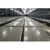 Buy cheap Vegetable Ebb And Flow Rolling Benches Movable Nursery Tray Hydroponics Flood product